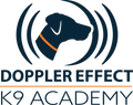 Basic Obedience Course
