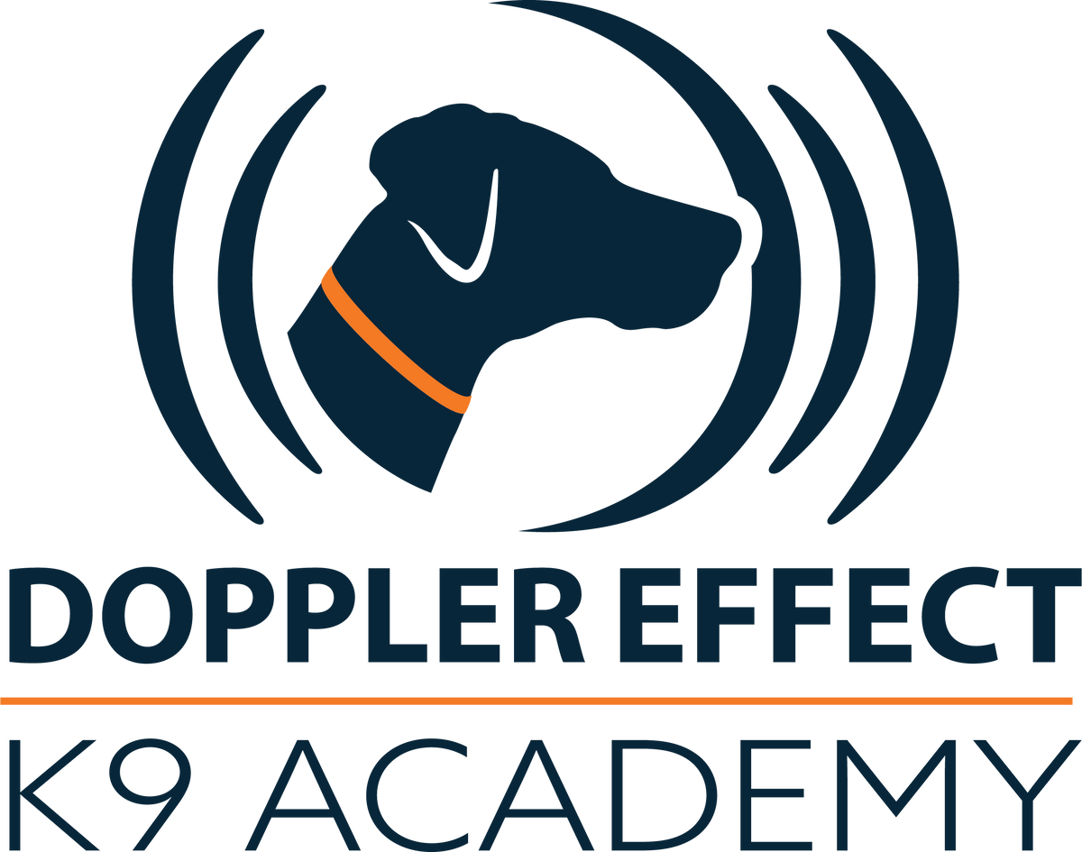 Gundog Foundational Obedience Course